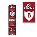 Изоспан B